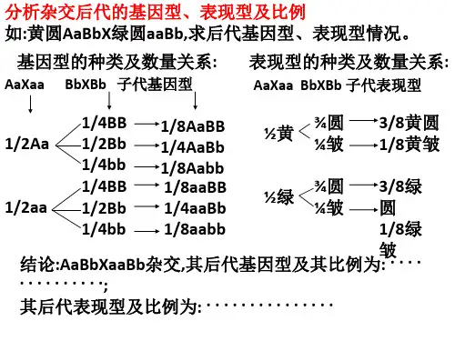 两对及多对相对性状的计算