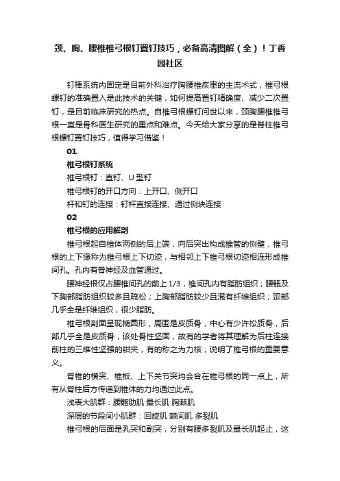 颈、胸、腰椎椎弓根钉置钉技巧，必备高清图解（全）！丁香园社区