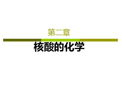 核酸的化学