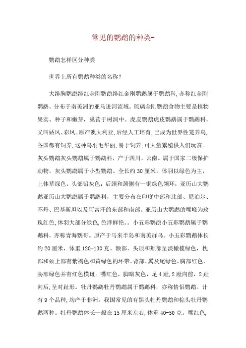 常见的鹦鹉的种类--鹦鹉怎样区分种类
