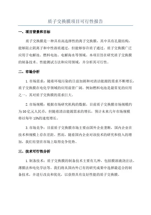 质子交换膜项目可行性报告