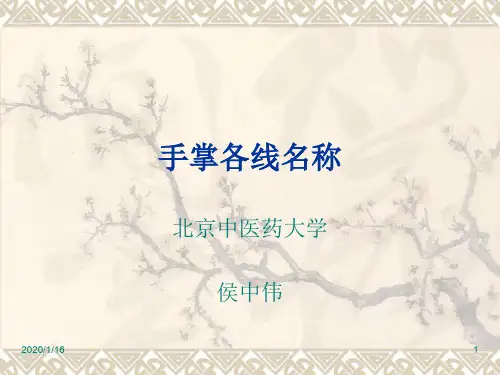 手掌各线名称