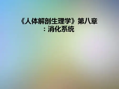 《人体解剖生理学》第八章：消化系统