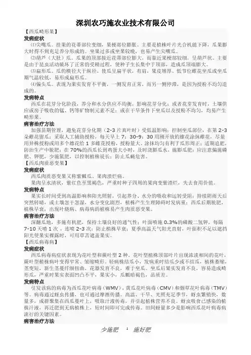 西瓜病害