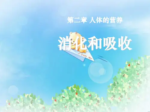 《消化和吸收》人体的营养PPT6  图文