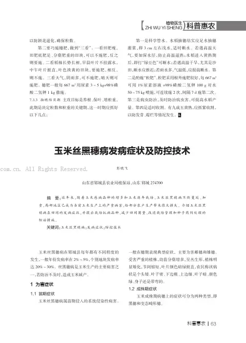 玉米丝黑穗病发病症状及防控技术