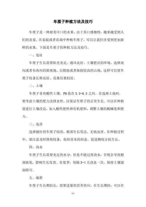 车厘子种植方法及技巧