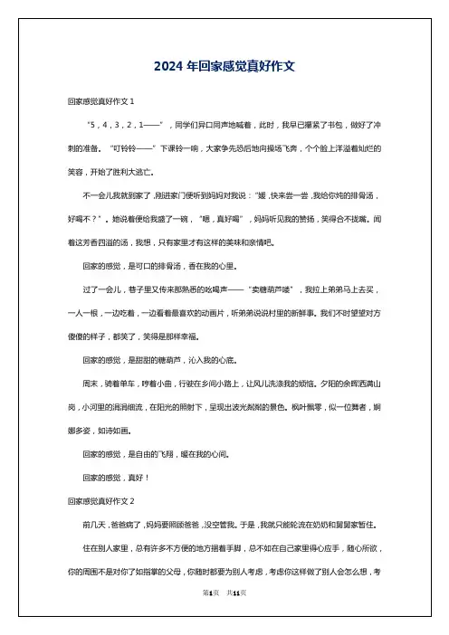 2024年回家感觉真好作文