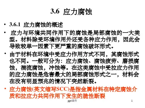 《应力腐蚀》PPT课件