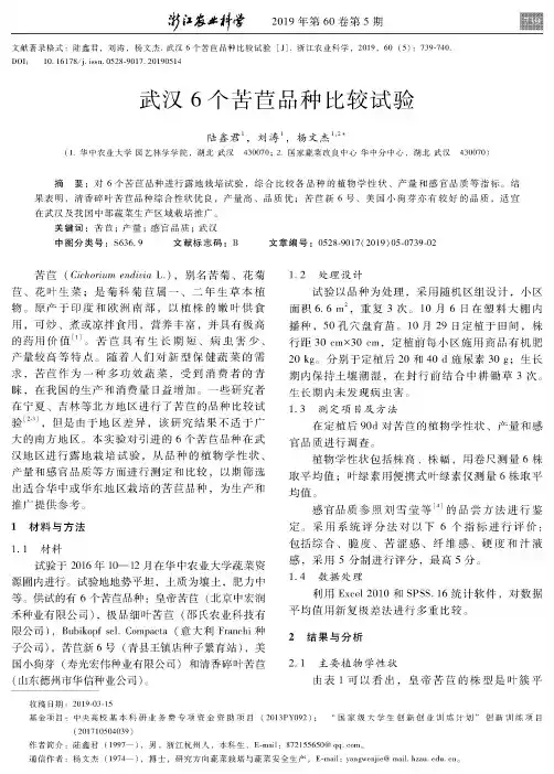 武汉6个苦苣品种比较试验