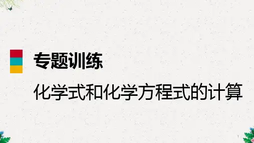 人教版九年级化学上册专题训练课件：化学式和化学方程式的计算(共21张PPT)