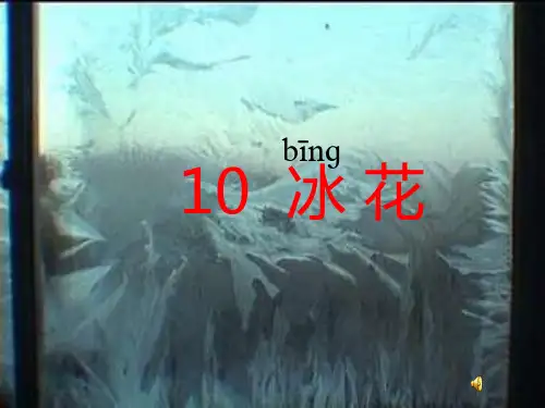 10 冰花PPT课件