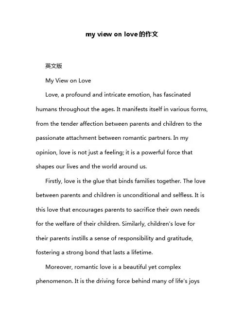 my view on love的作文