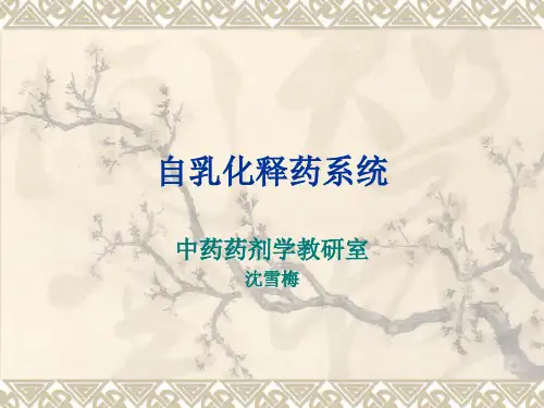 自乳化释药系统.ppt