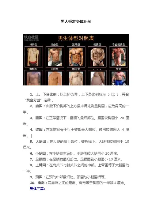 男人标准身体比例