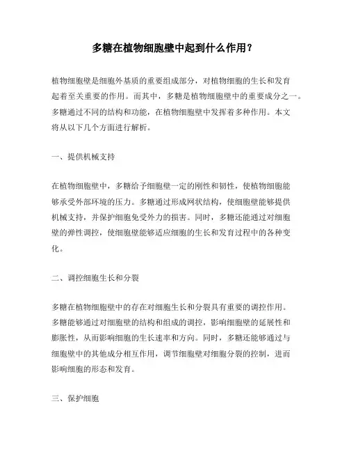 多糖在植物细胞壁中起到什么作用？