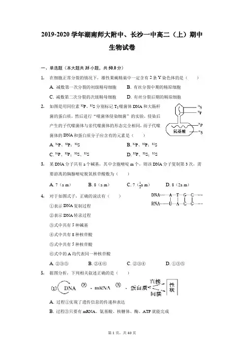 2019-2020学年湖南师大附中、长沙一中高二(上)期中生物试卷-附答案详解