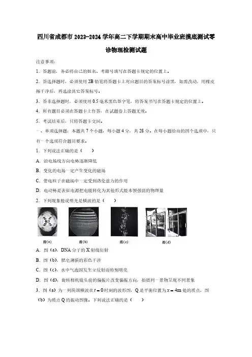 四川省成都市2023-2024学年高二下学期期末高中毕业班摸底测试零诊物理检测试题(含答案)