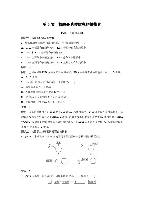 课时作业5：2.5 核酸是遗传信息的携带者