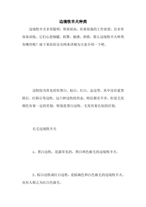 边境牧羊犬种类
