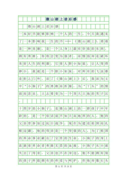 2019年小学生读后感-微山湖上读后感