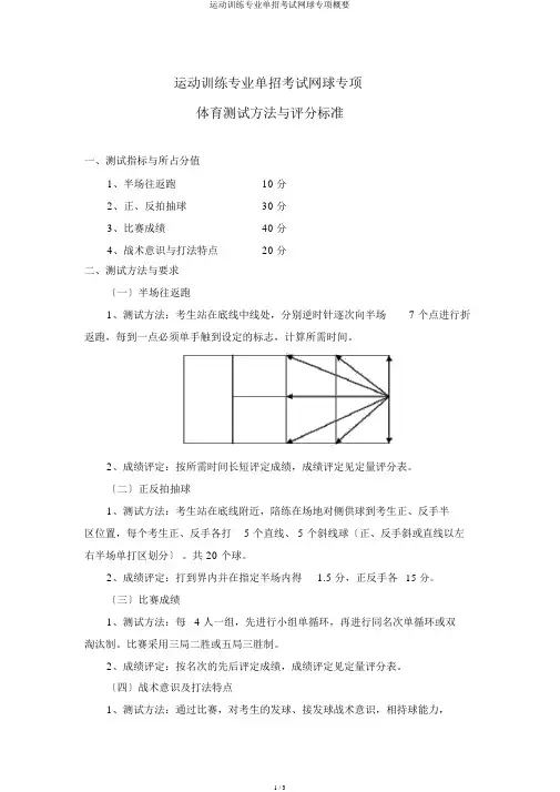 运动训练专业单招考试网球专项概要