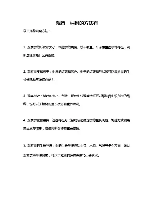 观察一棵树的方法有