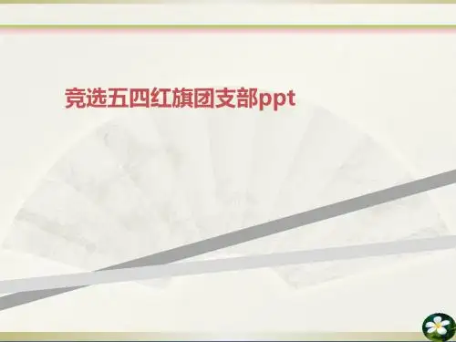 竞选五四红旗团支部ppt
