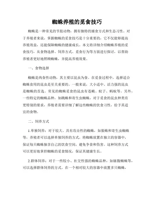 蜘蛛养殖的觅食技巧