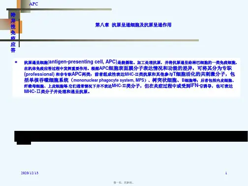 抗原递呈细胞与抗原的处理及递呈