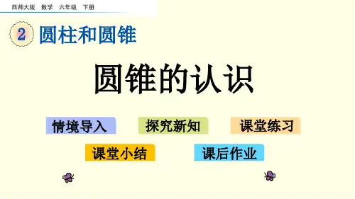 西师大六下数学课件-圆锥的认识