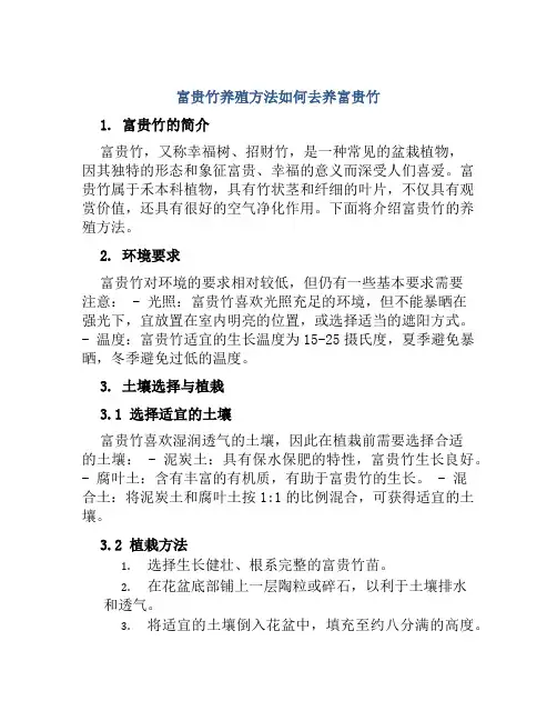 富贵竹养殖方法如何去养富贵竹