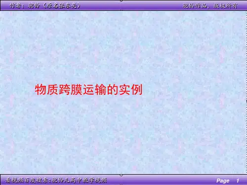 物质跨膜运输实例 (共36张PPT)