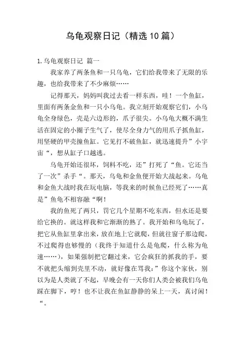 乌龟观察日记(精选10篇)