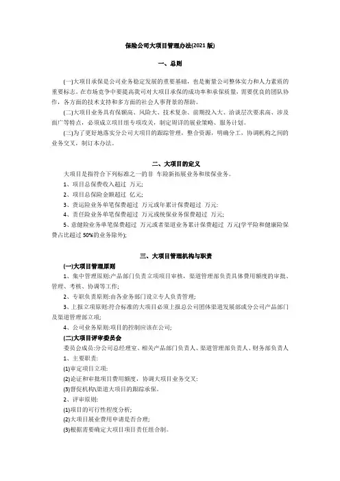保险公司大项目管理办法