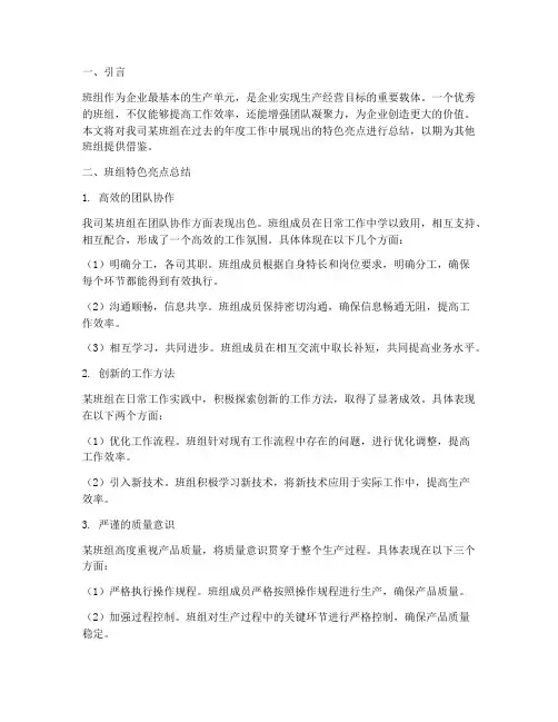班组特色亮点总结范文