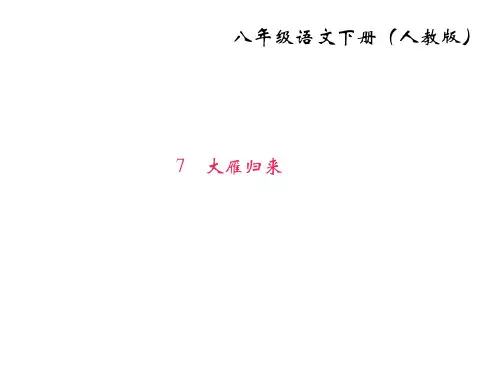 2017-2018学年八年级语文下册(人教版)课件：7 大雁归来(共22张PPT)