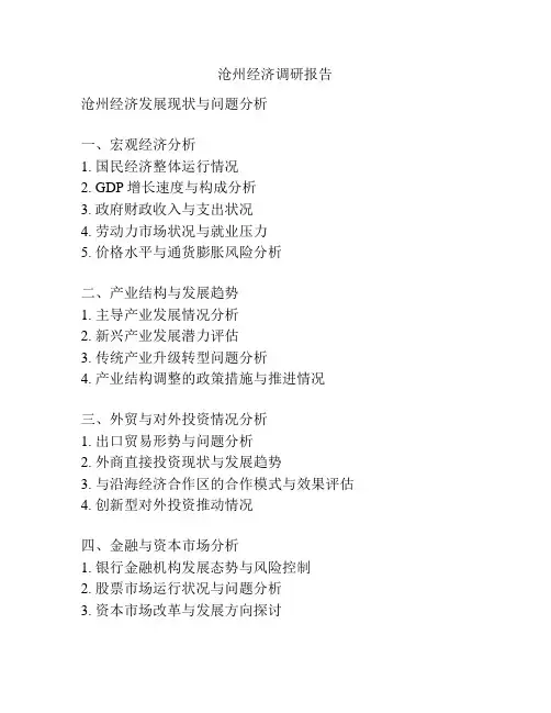 沧州经济调研报告