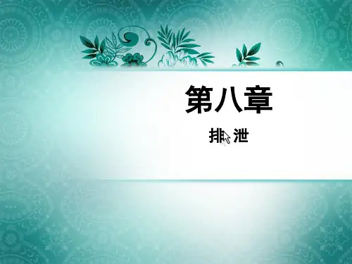 肾脏的排泄