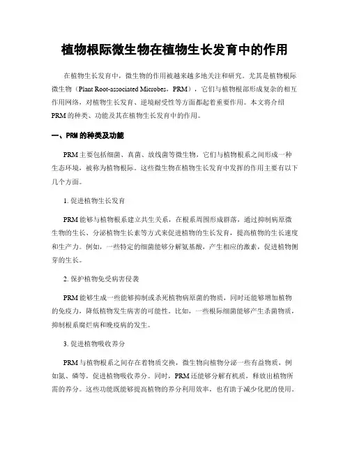 植物根际微生物在植物生长发育中的作用