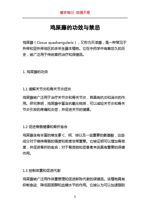 鸡屎藤的功效与禁忌