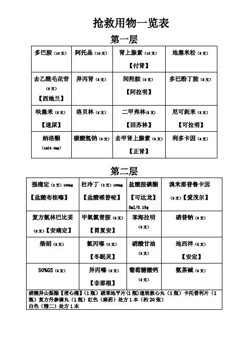 抢救车用物一览表