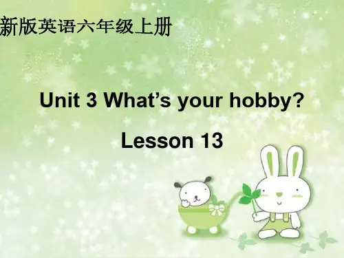 人教新版英语六年级上册《UNIT3LESSON13》课件