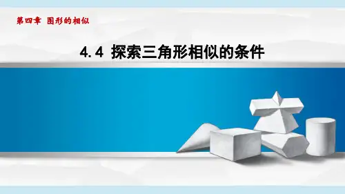 北师大版九年级上册数学第四章图形的相似第四节探索三角形相似的条件