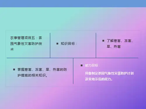 农事管理项目五茶树气象性灾害防护技术