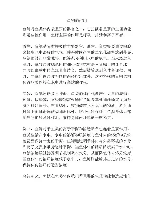 鱼鳃的作用