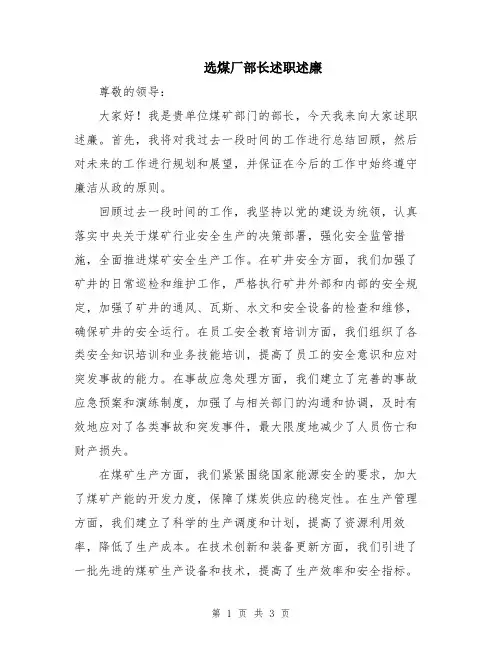 选煤厂部长述职述廉