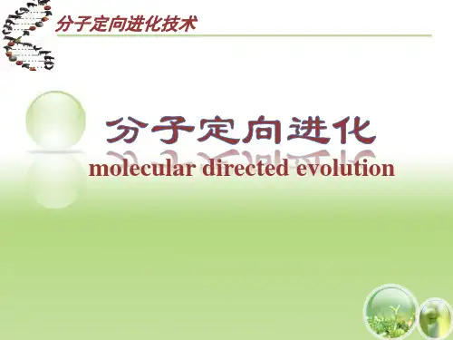分子定向进化技术简介
