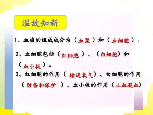 人教版七年级生物下册4. 血流的管道——血管 课件(1)