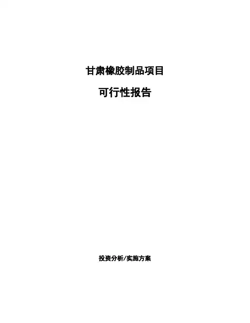 甘肃橡胶制品项目可行性报告